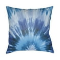 thumbnail image 2 of Surya Textures 18" x 18" Medium Square Throw Pillow TX053-1818, 2 of 5