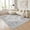 Grey, variant on Janvonne Bohemian Area Rug for Bedroom, 4'x6' Soft Low-Pile Washable Non-Slip Vintage Throw Carpet for Nursery Living Room, Pet Friendly, Pink