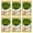 as the picture, variant on 6Pcs Natural Mite Removal Bag Safe Herbal Plant Effective Long lasting Household Sofa Bedding Dust Mite Eliminator Rem