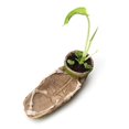 thumbnail image 1 of PENGXIANG Halloween Simulation Skull Flowerpot Retro Gothic Style Planter for Garden Yard, 1 of 5