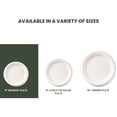 thumbnail image 2 of FPN Disposable Round Plates, 6 in, 250-Pack, Sugarcane, Compostable, Microwave-Safe for Events & Partiesngs, Events, 2 of 9