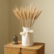 thumbnail image 5 of Ceramic Vase Home-style Plain Vase For Flower Arrangement Indoor Decoration Ceramic Vase Art Decoration, 5 of 6