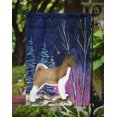 thumbnail image 3 of Carolines Treasures SS8352GF Drapeau Starry Night Akita - Taille Jardin, 3 of 3