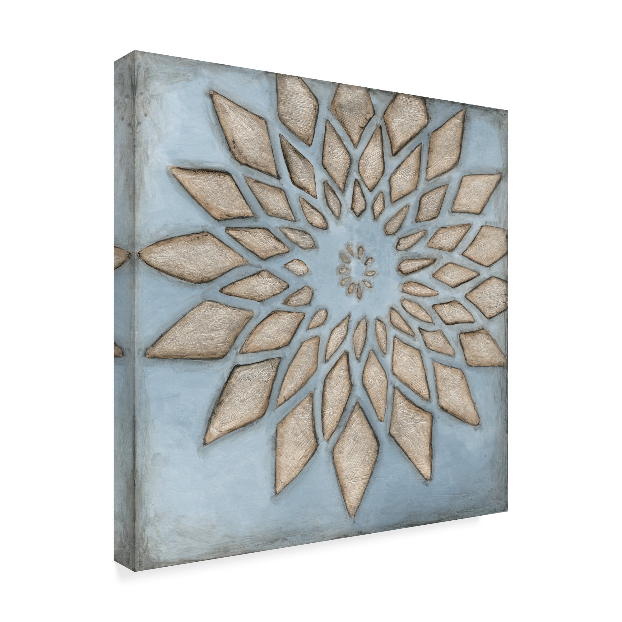 Trademark Fine Art Abstract Canvas Art ' Silver Filigree I ' by Megan Meagher