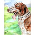 thumbnail image 1 of 11 x 15 in. Italiano Spinone Garden Size Flag, 1 of 1