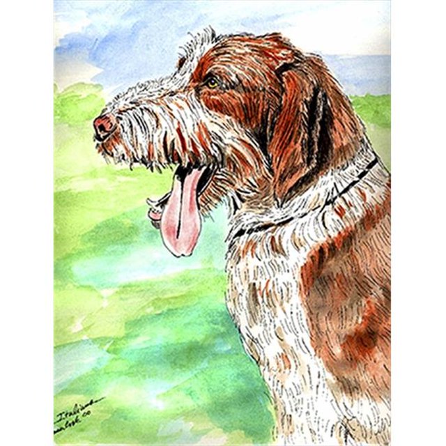 11 x 15 in. Italiano Spinone Garden Size Flag