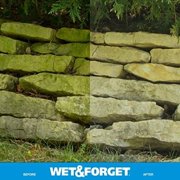 Wet & Forget Moss, Mold, Mildew, Algae Stain Remover Multi-Surface Outdoor Cleaner Concentrate, Original, 128 Fluid Ounces