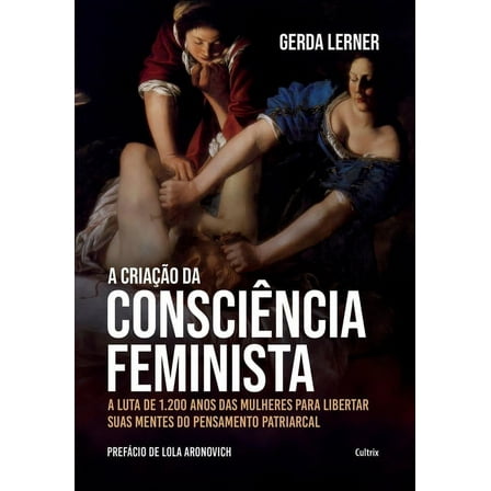 A Criação Da Consciência Feminista