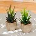 thumbnail image 6 of SPRING PARK Artificial Potted Artificial Succulent Plant Fake Small Bonsai Pot Home Garden Decor, 6 of 6