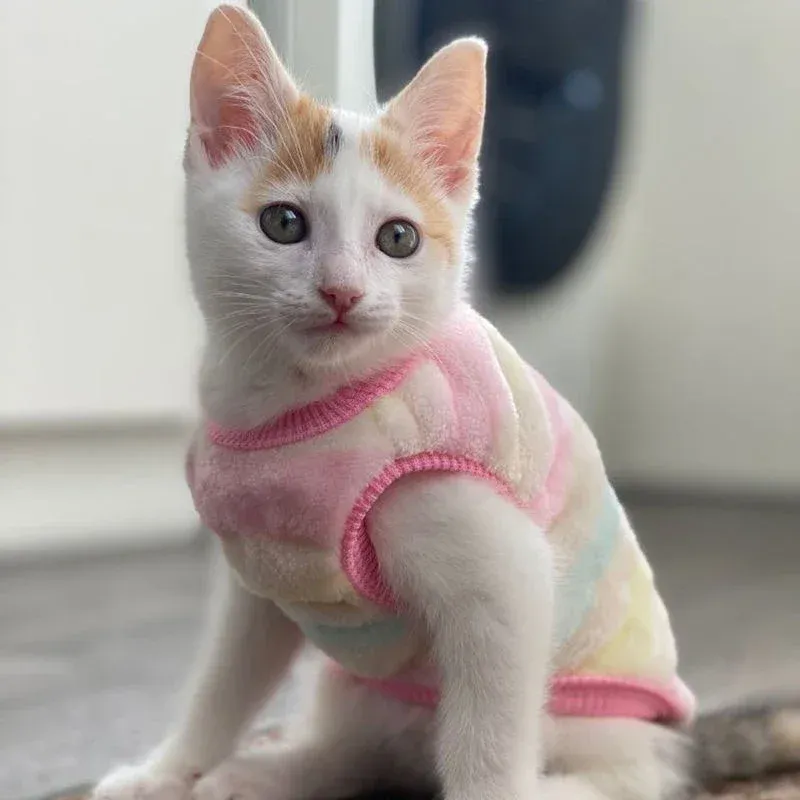 Cartoon Fleece Pet Cat Clothes Winter Warm Pet Dog Vest Puppy Cat Sweater Dog Clothes For Small Dogs Cats Coat Jacket Pet Outfit