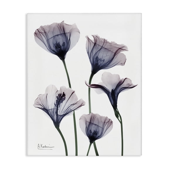 Stupell Industries Modern Subtle Fresh Flowers Canvas Art, 16 x 20, by Albert Koetsier