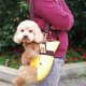 thumbnail image 4 of Mochila porta mascotas portátil con patas hacia afuera, bolsa de viaje para perros, gatos y cachorros, 4 of 5
