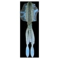 thumbnail image 3 of Ycolew Luminous Octopus Squid Skirt Lures Bait Glow in Dark Soft Trolling Bait Fishing Lure Saltwater 3.94in/10cm Luminous, 3 of 3