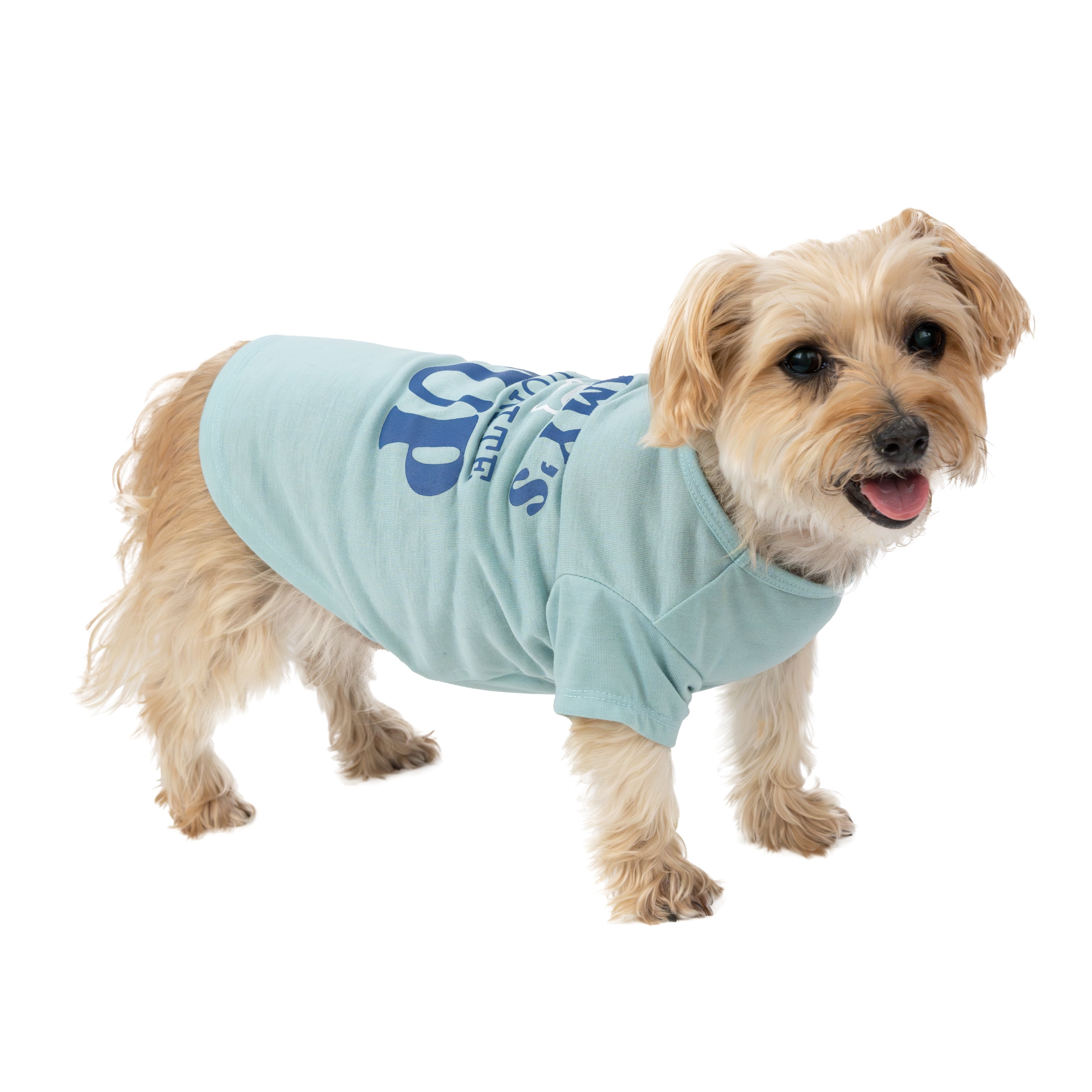 Vibrant Life Mommy's Favorite Pup Dog T-Shirt, Blue, Small