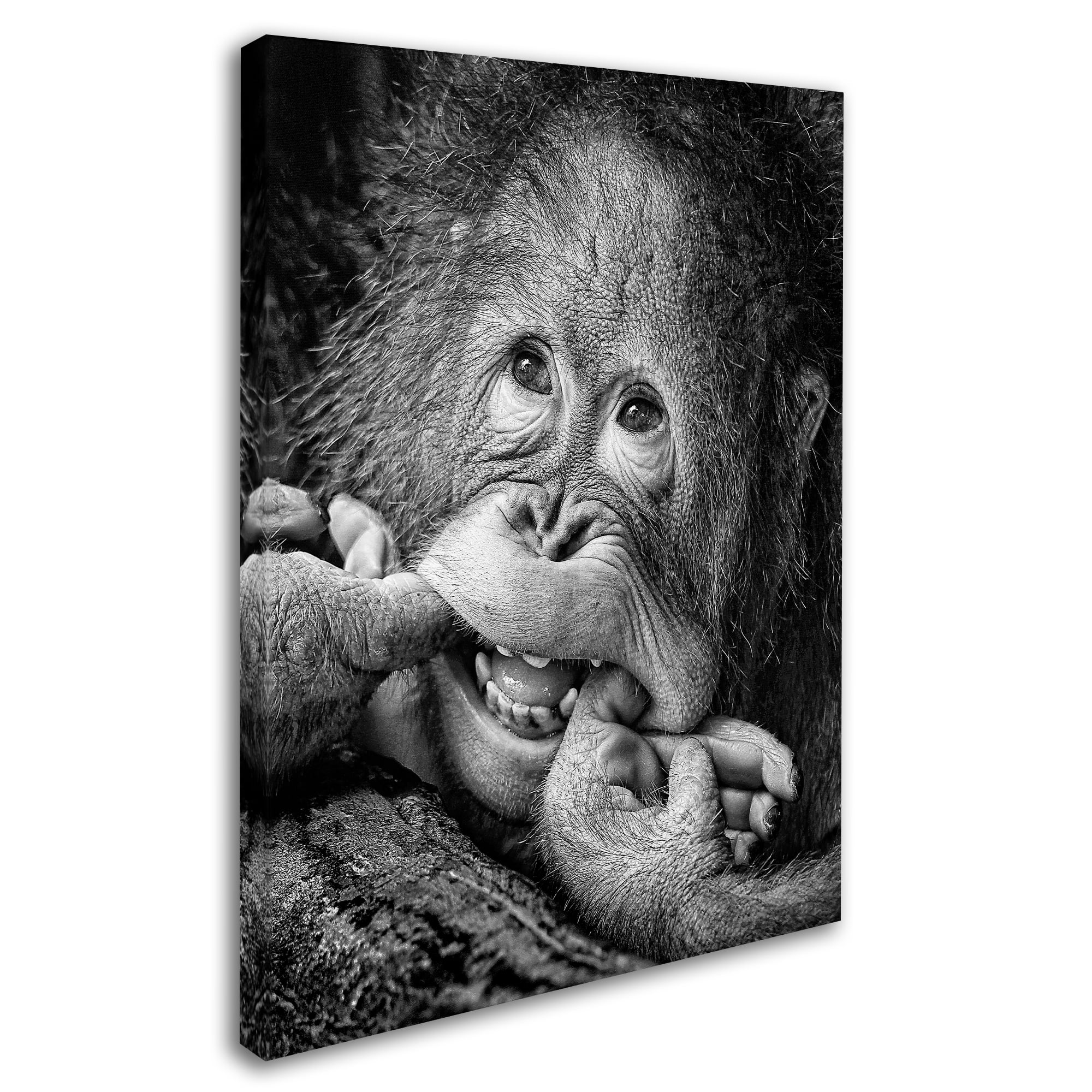 Trademark Fine Art 'Big Smile Please' Canvas Art by Angela Muliani Hartojo
