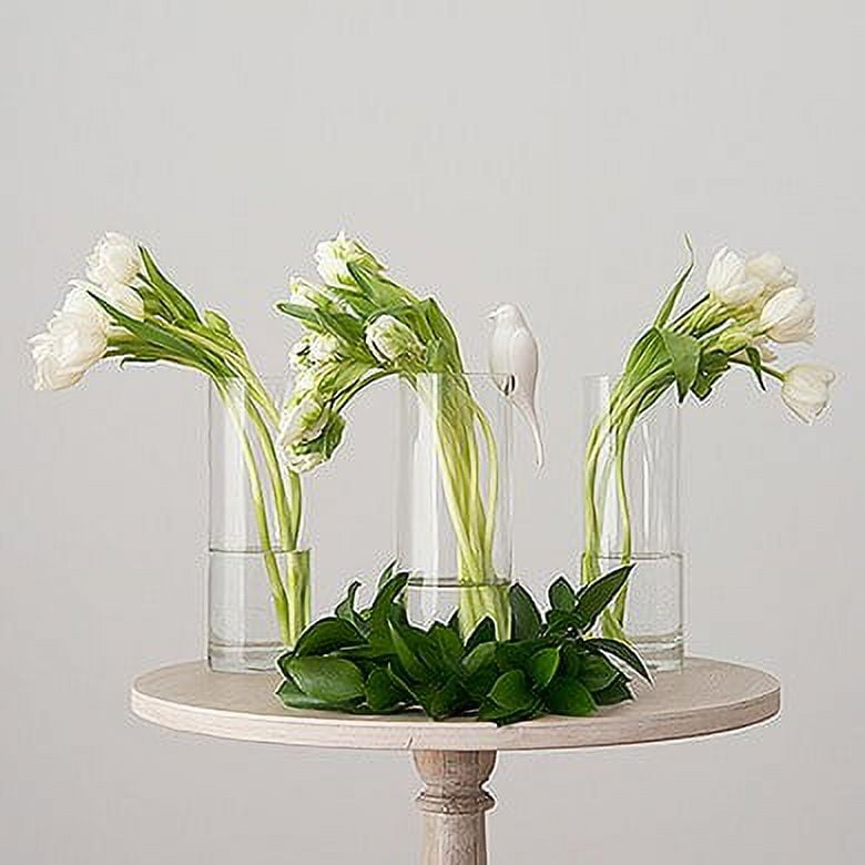 Libbey 9.5-Inch Clear Glass Cylinder Vase for Floral Arrangements