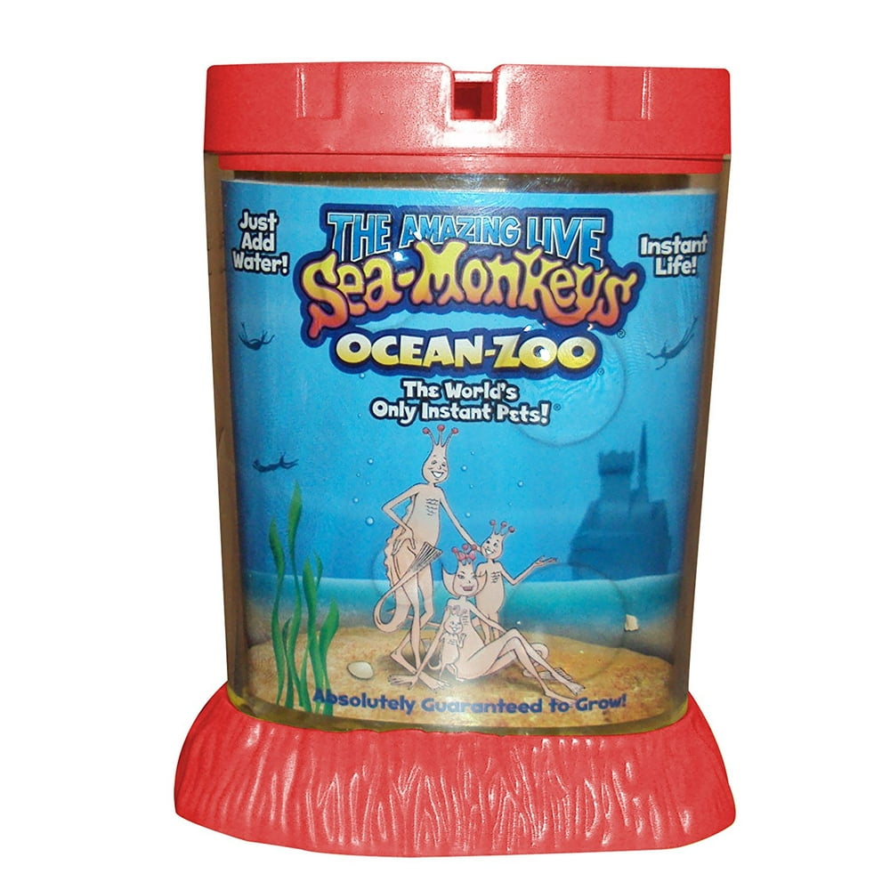 Морские обезьянки купить. Сиа манкис. SEAMONKEY аквариум. Водные обезьянки в аквариуме. Морские обезьянки.