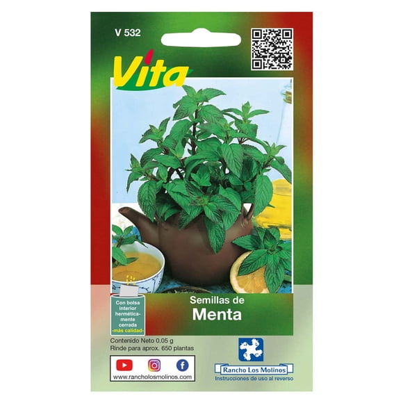 Semillas Menta Vita