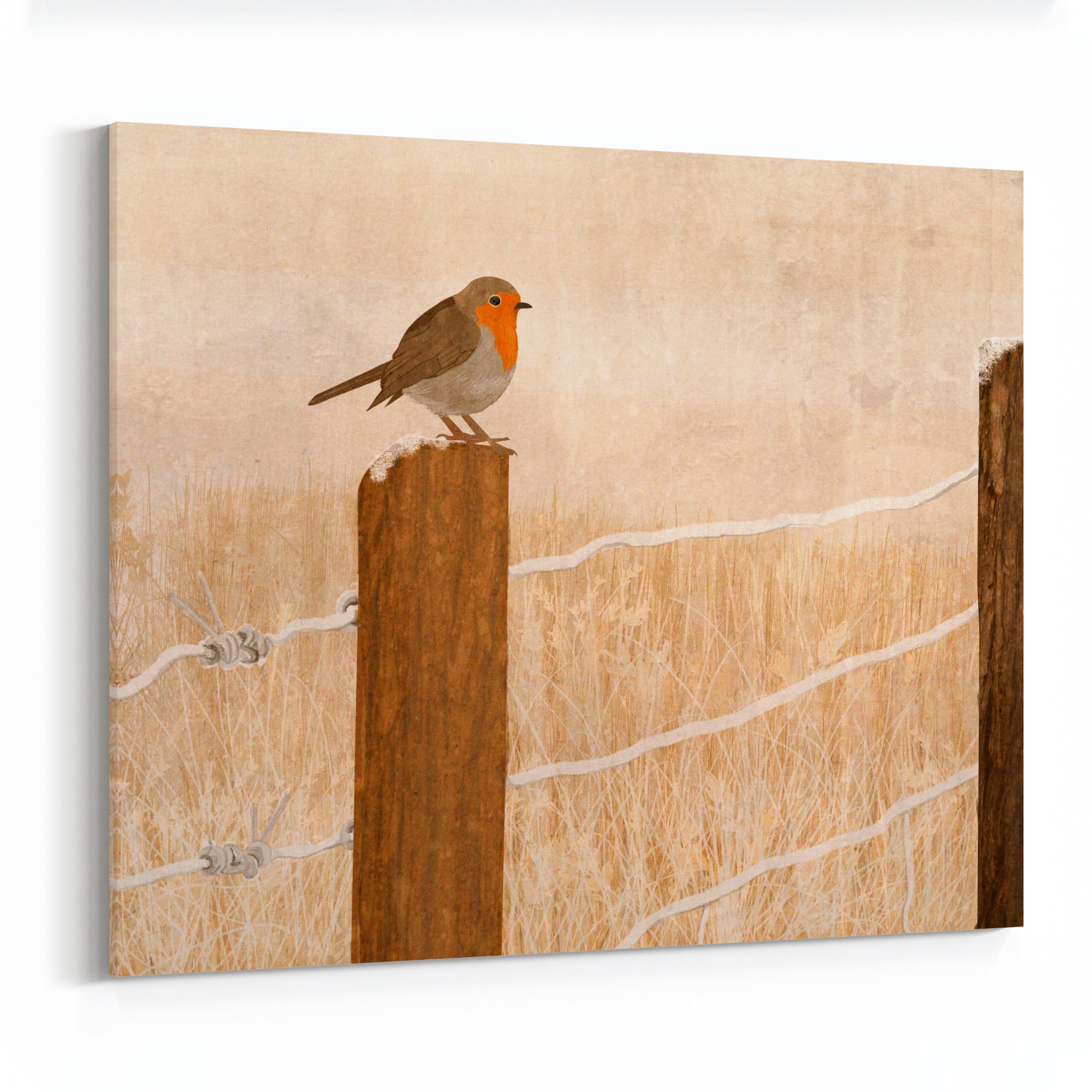 bird wall decor Robin original oil painting including floater frame ...