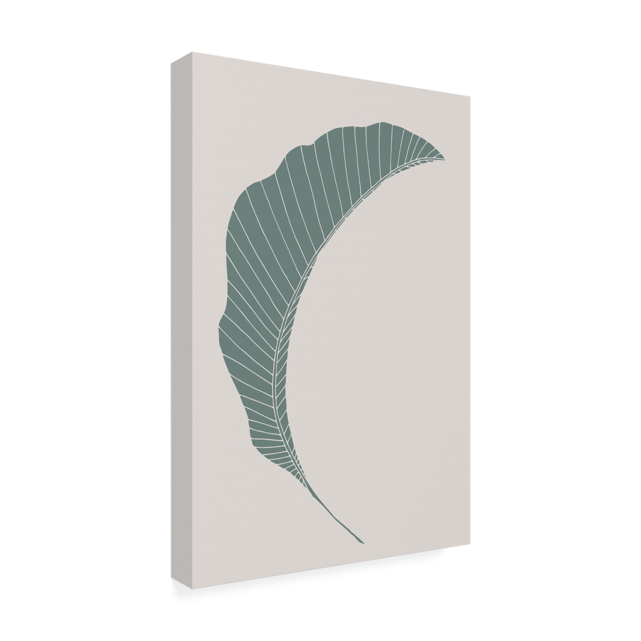 Canvas Wall Art - Pictufy Studio Ii 'Banana Leaf Green' Wall Art for Living Room, Bedroom, or Office Décor by Trademark Fine Art - 12 x 19 Inches
