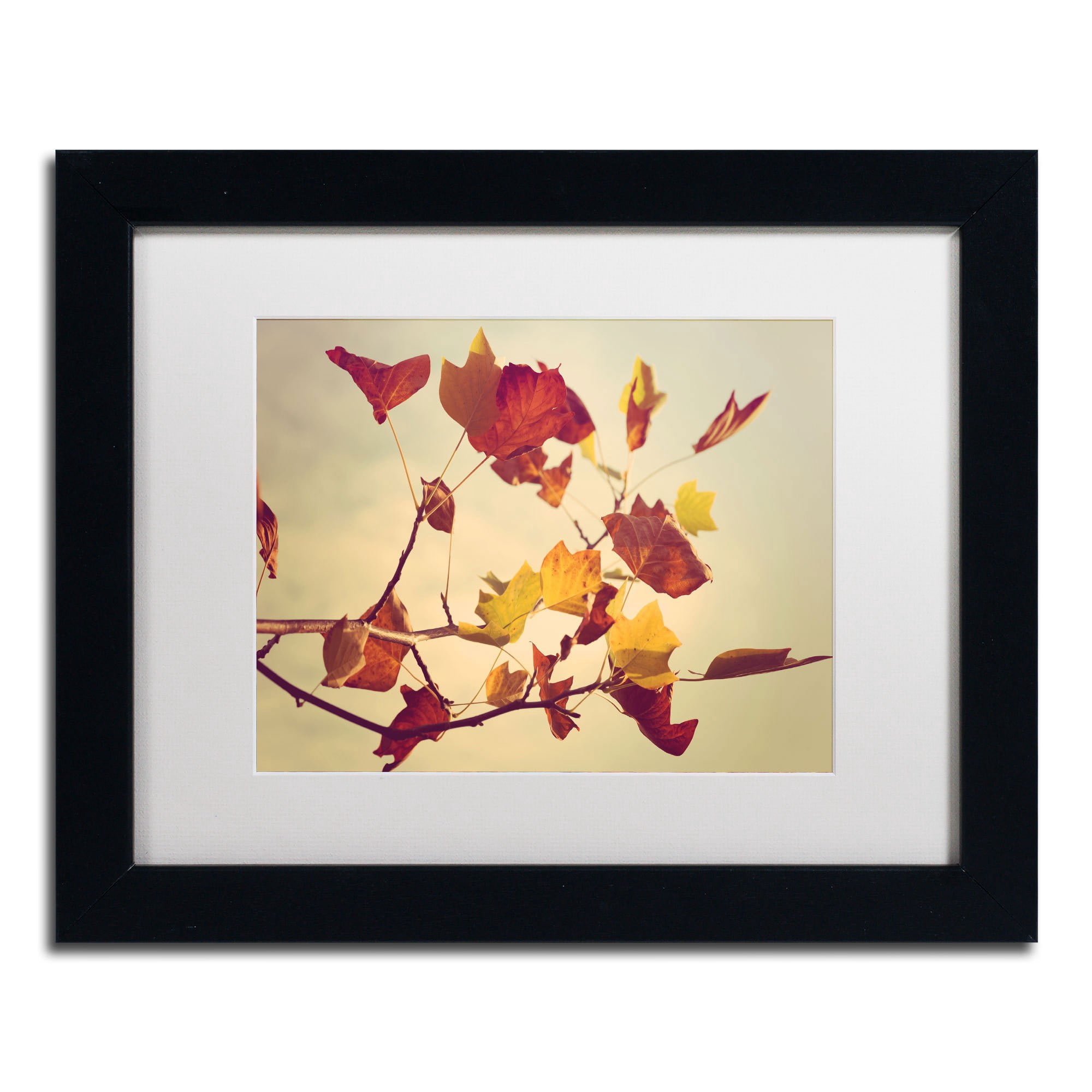 Trademark Fine Art "Still Fall" Canvas Art by Philippe Sainte-Laudy, White Matte, Black Frame