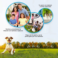 thumbnail image 4 of Collar Para Ladridos De Perro Impermeable Y Recargable Blanco, 4 of 5