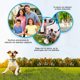 thumbnail image 4 of Collar Para Ladridos De Perro Impermeable Y Recargable Blanco, 4 of 5