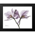 thumbnail image 2 of Koetsier, Albert 14x12 Black Modern Framed Museum Art Print Titled - Beautiful Orchid in Purple 2, 2 of 5