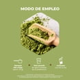 thumbnail image 3 of PRONAT | Prote&iacute;na Vegetal Sabor Matcha, Endulzada con Monk Fruit, 19 g de prote&iacute;na por porci&oacute;n, Suplemento Alimenticio, Sin Az&uacute;car A&ntilde;adida, Caja, 3 of 8