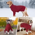 thumbnail image 3 of Jersey para perro Cyeollo, cálido, cuello alto, manga de punto, 3 of 9