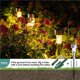 thumbnail image 4 of 30 Luces Solares para Exteriores, Luces de Jardín, Lámpara con Energía Solar, Linterna, Iluminación de Paisaje Impermeable, 4 of 8