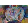 thumbnail image 2 of Wallich, Richard 24x17 White Modern Wood Framed Museum Art Print Titled - Elephant, 2 of 4