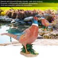 thumbnail image 4 of Simulation Pheasant, 13.8 X 4.3 X 9.3 In Garden Ornament Animal Model, Hotel For Living Room Shop Apartment, 4 of 8