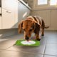 thumbnail image 3 of Comedero Lento Para Perros Almohadilla De Silicona Para Que Los Perros Laman Dispensador Para Cachorros Y Gatos Que Evita La Ansiedad Y El Desorden Seaflex Feast Mat – Comedero Lento Fomenta El, 3 of 5