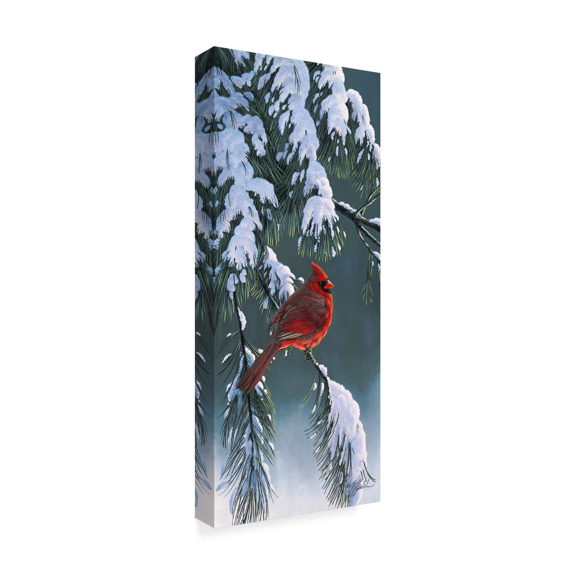 Trademark Fine Art 'The Light Of Winter' Canvas Art by Wilhelm Goebel