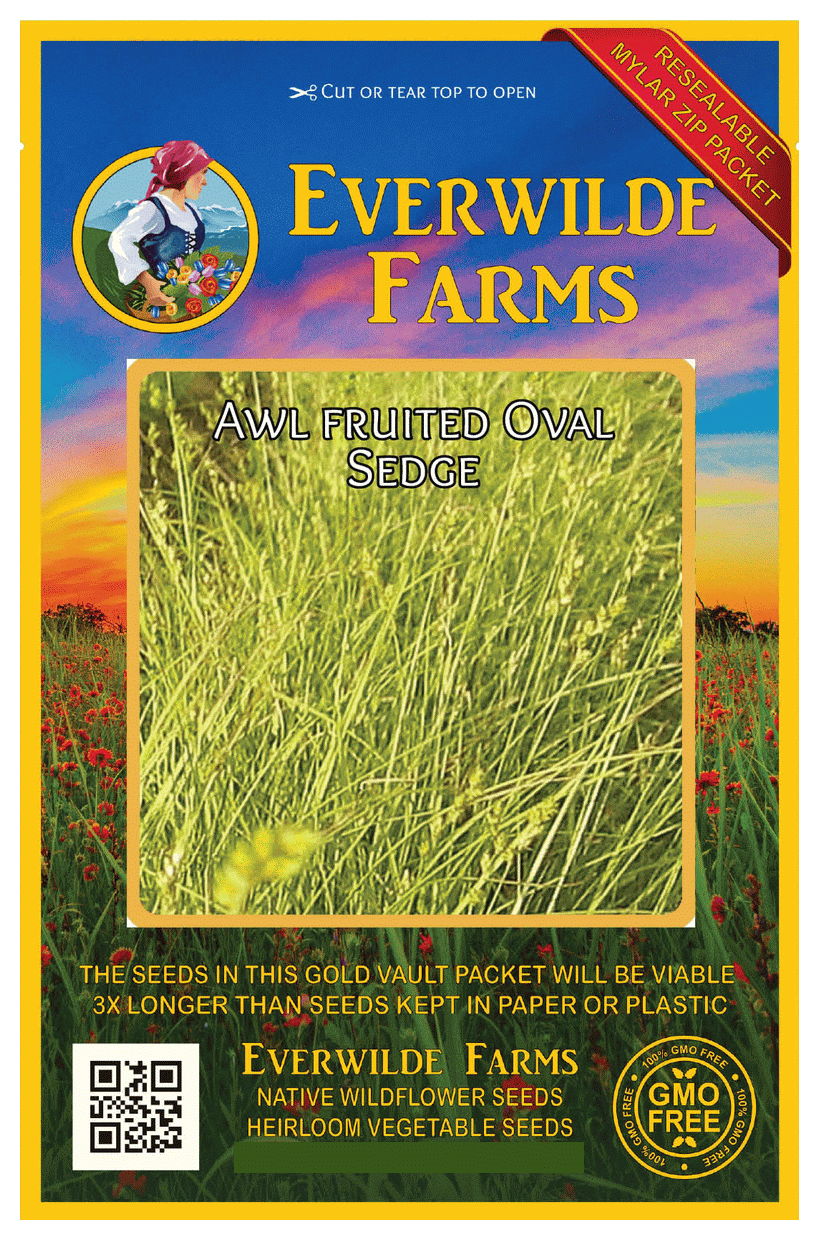 Everwilde Farms 1 Oz Awl fruited Oval Sedge Native Grass Seeds Gold