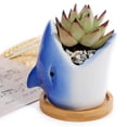 thumbnail image 2 of De Cerámica, Minimacetas Para Plantas Con Agujeros De Drenaje, Macetas Para Plantas De Cactus Para Decoración Del Hogar Y La Oficina Sweethay HA042843-01, 2 of 6