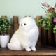 thumbnail image 5 of Simulation Toys Toys Simulation Models Children's Gifts, 5 of 7