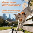 thumbnail image 4 of rabbitgoo Cat Harness and Leash for Walking, Escape Proof Soft Adjustable Vest Harnesses for Cats, Easy Control Breathable Reflective Strips Jacket, Orange, 4 of 11