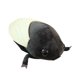 thumbnail image 1 of Muñeca de peluche con forma de cigarra realista, 48 cm, peluche, suave, caricatura, 1 of 2