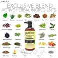 thumbnail image 2 of Set de cuidado capilar PURA D'OR Advanced Therapy Biotin 480 ml x 2, 2 of 5