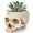 Skull Beige, variant on Fountwell Resin Skull Planter with Drain Hole Gothic Flower Pot Candy Bowl for Home Office Desk White