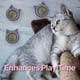 thumbnail image 5 of 3 piezas de pelota de hierba gatera orgánica para gatos, juguete de hierba gatera, juguete interactivo para gatos, 5 of 5