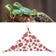 thumbnail image 4 of Hamaca Triangular para Reptiles ANGGREK Diseño de Fresa 2 uds, 4 of 8