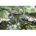 thumbnail image 2 of Aquascape 98908 250ml-8.5oz Feature Foam Free, 2 of 2