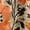 Orange Floral, variant on Plus Size Women's Round Neck Short Sleeve Casual Loose Tunic Top