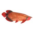 thumbnail image 3 of Figuras de animales marinos Zulema Juguete de Plástico para criaturas de 08, 3 of 7