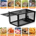 thumbnail image 2 of Paquete de 2 trampas para ratas humanas: trampa para ratones Have a Heart para ardillas, ratones y ratas, trampas para ratas vivas para atrapar y liberar en interiores y exteriores, 2 of 7