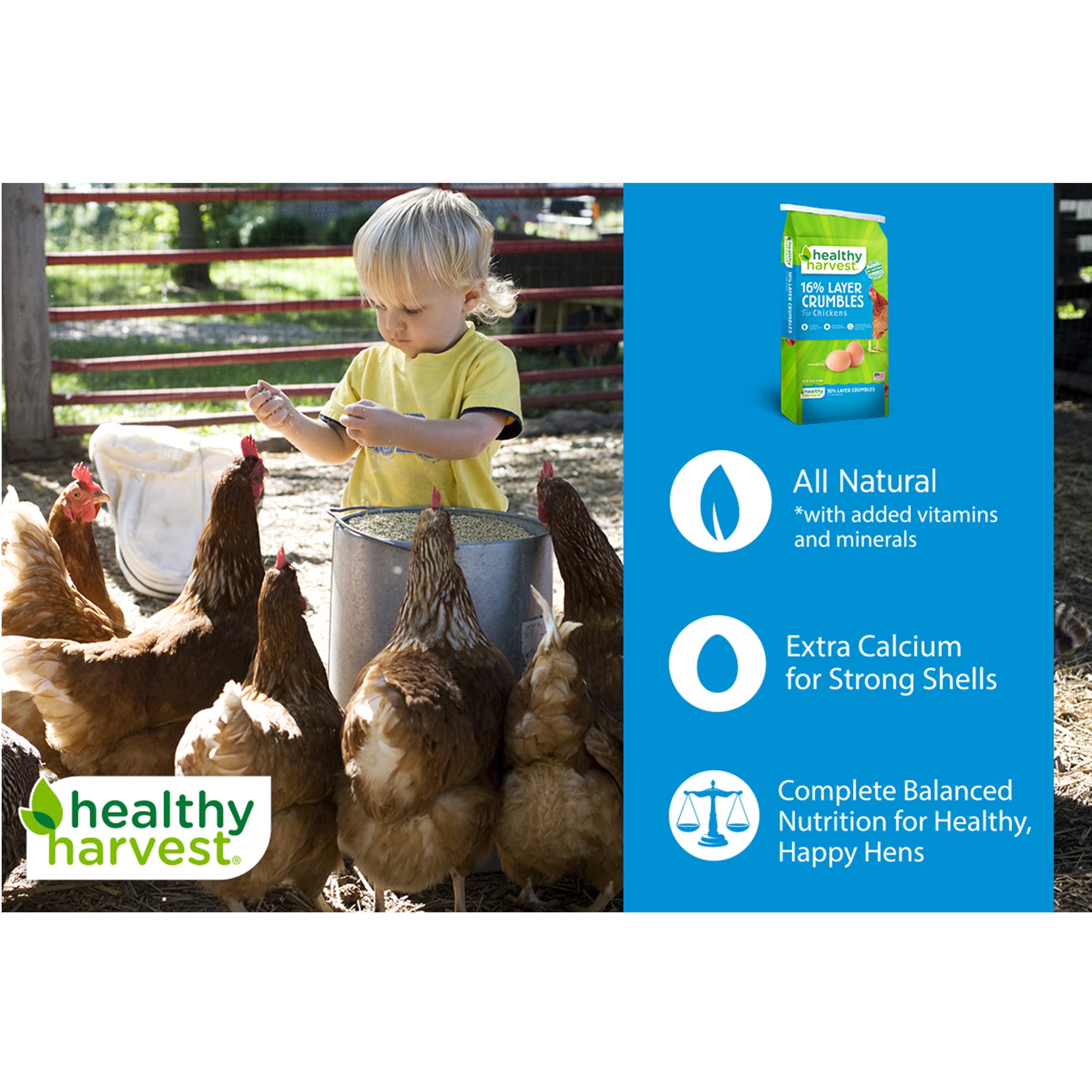 (3 pack) Healthy Harvest 16% Layer Crumbles Feed for Egg Laying Chickens, 40 lb Bag
