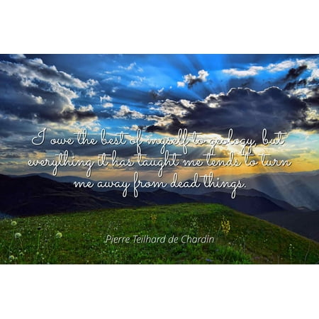 Pierre Teilhard de Chardin - I owe the best of myself to geology, but everything it has taught me tends to turn me away from dead things. - Famous Quotes Laminated POSTER PRINT